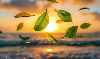 Angin yang Berbisik di Daun Jatuh