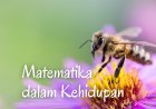 Matematika dalam Kehidupan