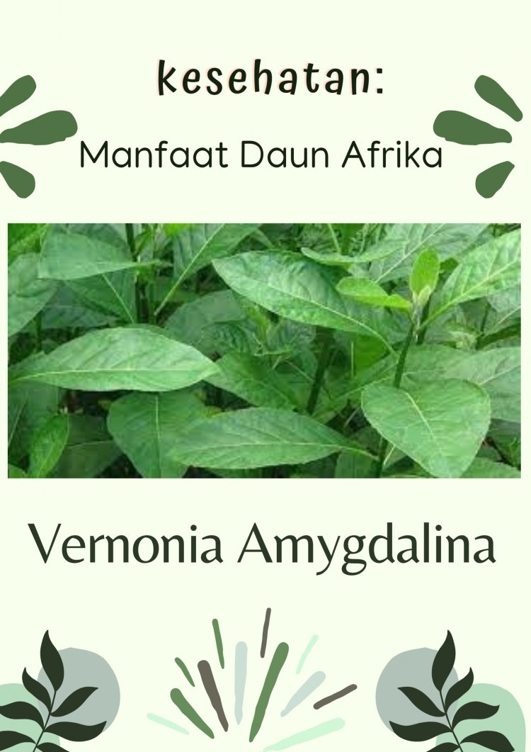 Kesehatan : Manfaat Daun Afrika (Vernonia Amygdalina)