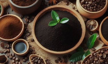 Ketika Ampas Kopi Bukan Sekadar Sisa: Menggali Manfaat Luar Biasa untuk Lingkungan dan Kreativitas