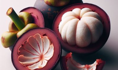 Rahasia Cantik Alami: Kulit Manggis, Keajaiban Tersembunyi untuk Kesehatan dan Kecantikan Kulit Anda