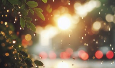 Hujan Senja: Pelukis Malam yang Lembut