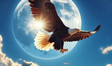 Sang Elang Terbang Tinggi: Mengejar Impian di Langit Biru