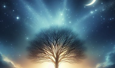 Cahaya di Ujung Malam yang Gelap