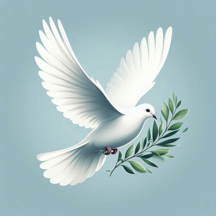 Merpati Putih, Simbol Cinta