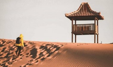 Setangkai Harapan di Tengah Gurun