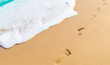 Jejak-jejak yang Hilang di Pasir Waktu