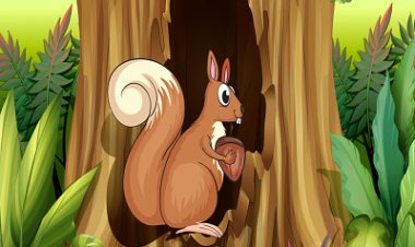 Tik dan Tok: Duo Tupai dan Teka-Teki Hutan