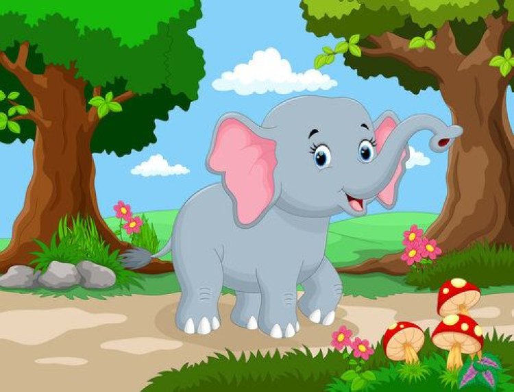Mimpi Gajah Kecil di Lembah Pelangi