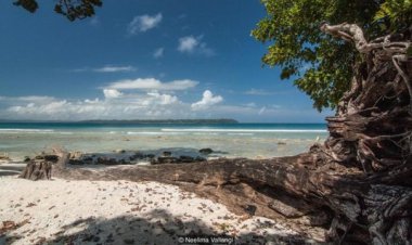 Riak Rindu di Tengah Samudera