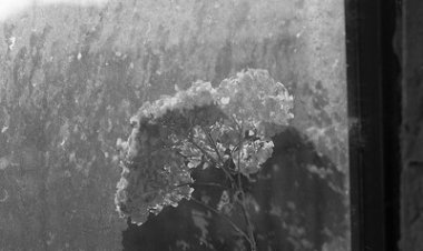 Rintik Hujan di Jendela Senja