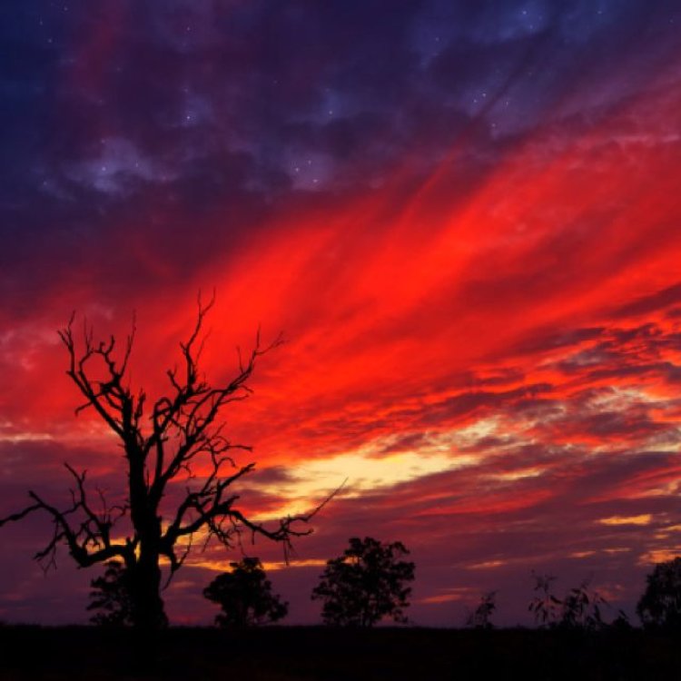Langit Merah: Kisah di Antara Bintang