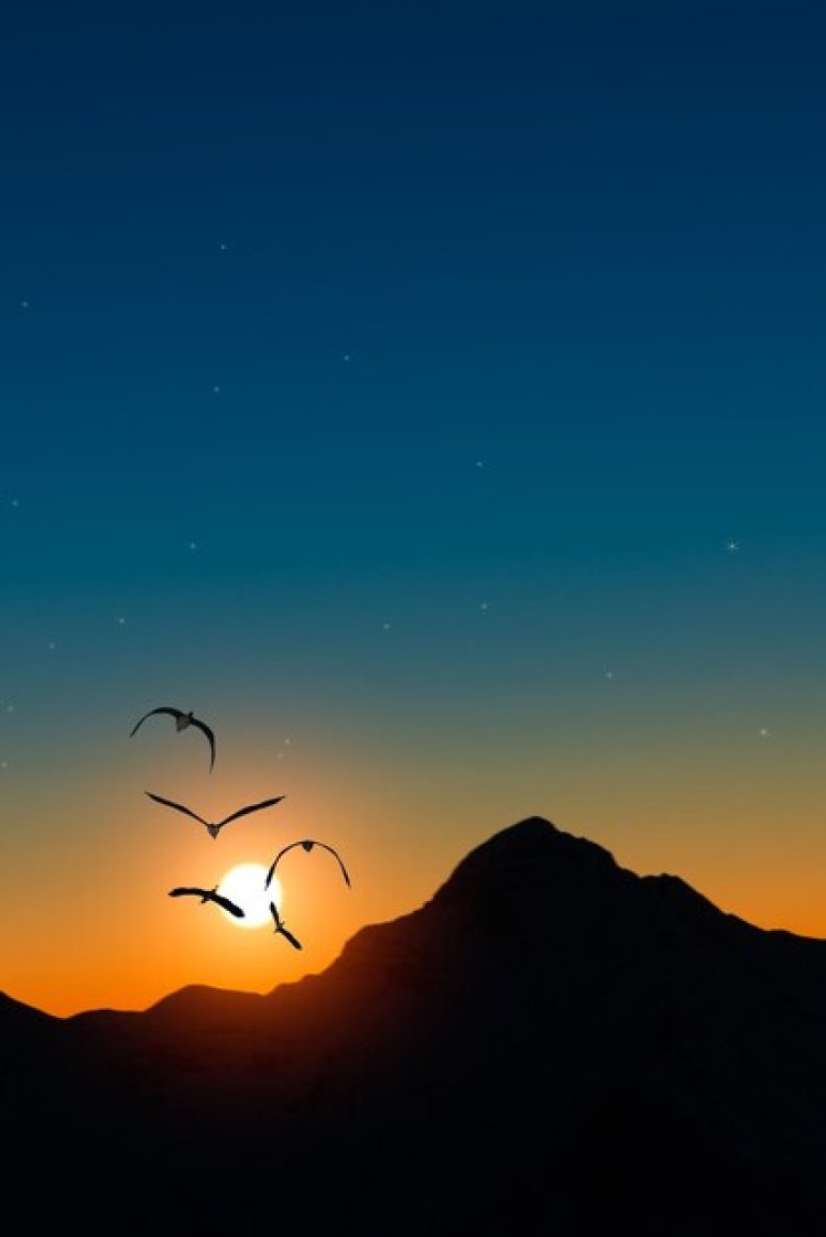 Merpati dan Langit Senja