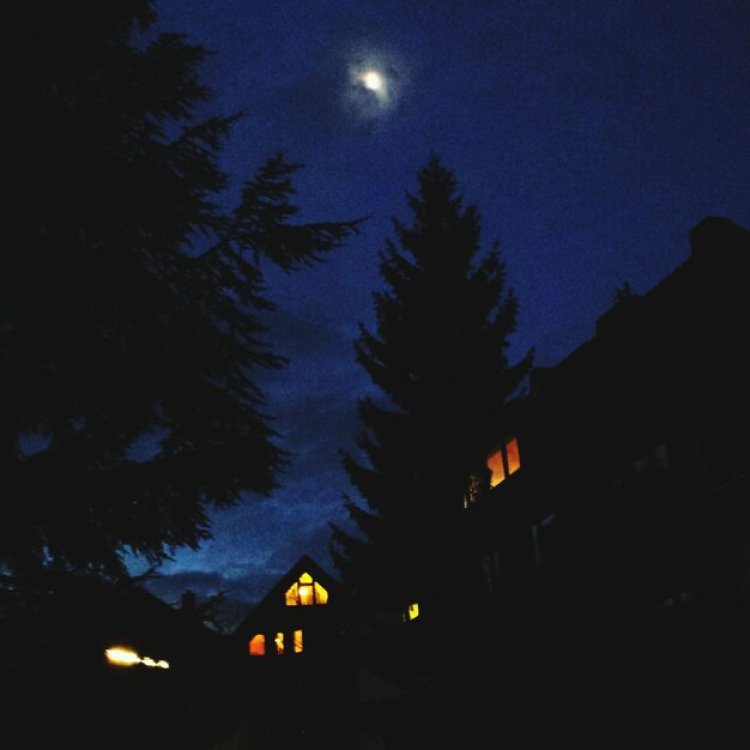 Sepi dalam Hening Malam
