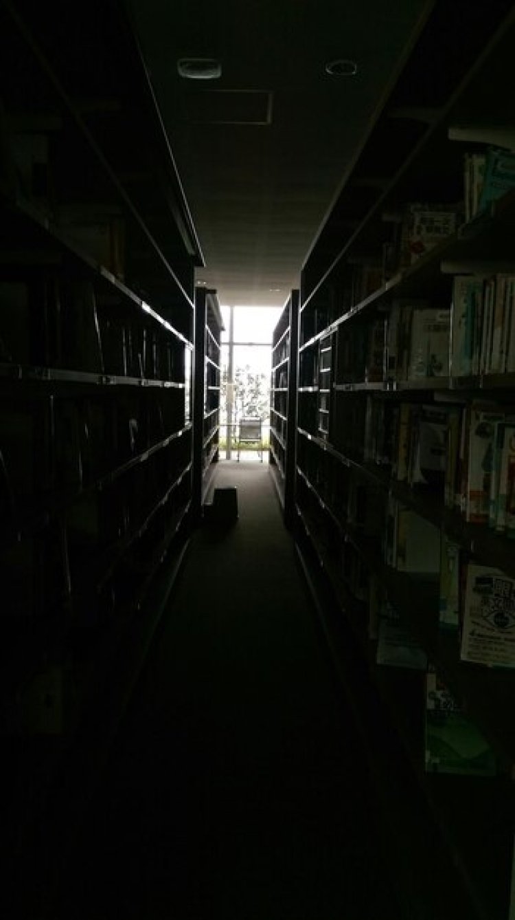 Buku Terlarang di Perpustakaan Tua