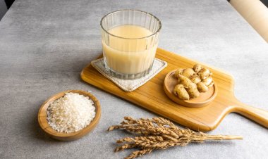 Manfaat dan Keistimewaan Jamu Beras Kencur: Minuman Tradisional yang Menyehatkan