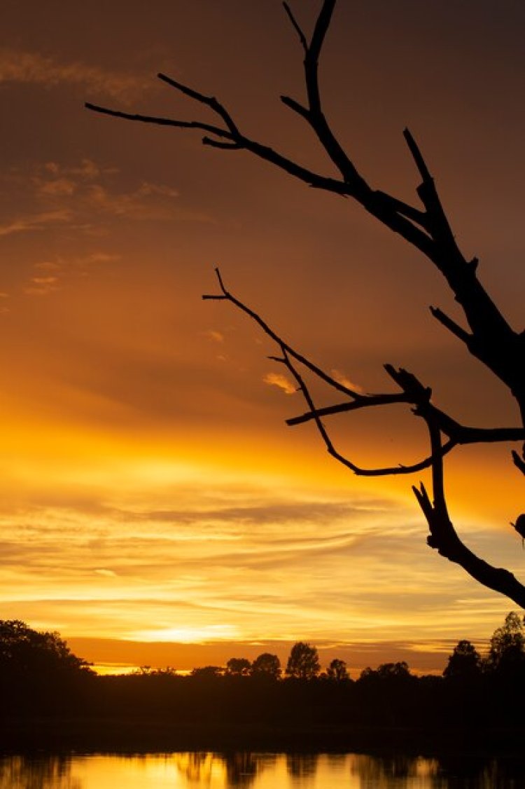 Serpihan Asa di Ujung Senja