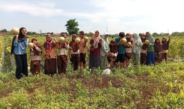 PPL Mahasiswa PGMI IAD Probolinggo dan SDIT Alam Permata Leces: Tanamkan Pembelajaran Alam melalui Kegiatan Petik Melon